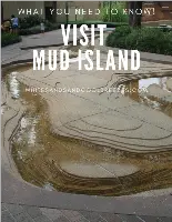 A small replica of the Mississippi River with text overlay – What you need to know. Visit Mud Island.