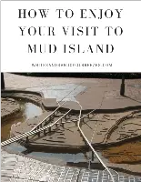 A miniature version of the Mississippi River with text overlay – How to enjoy your visit to Mud Island.