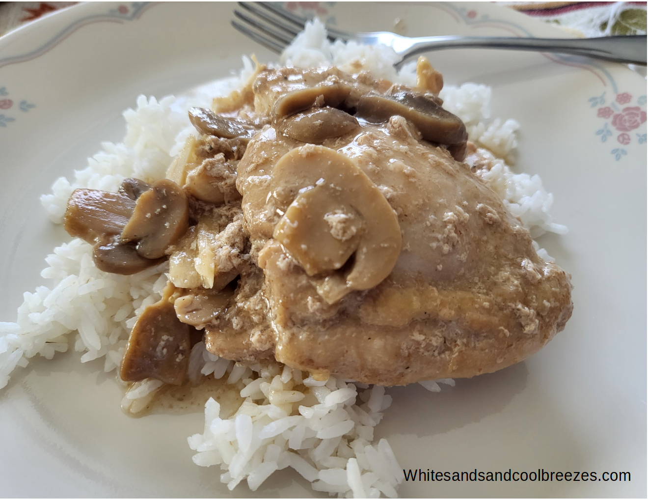 Soy Sauce Chicken An Easy And Delicious Dish White Sands And Cool   Soycknrecipe 